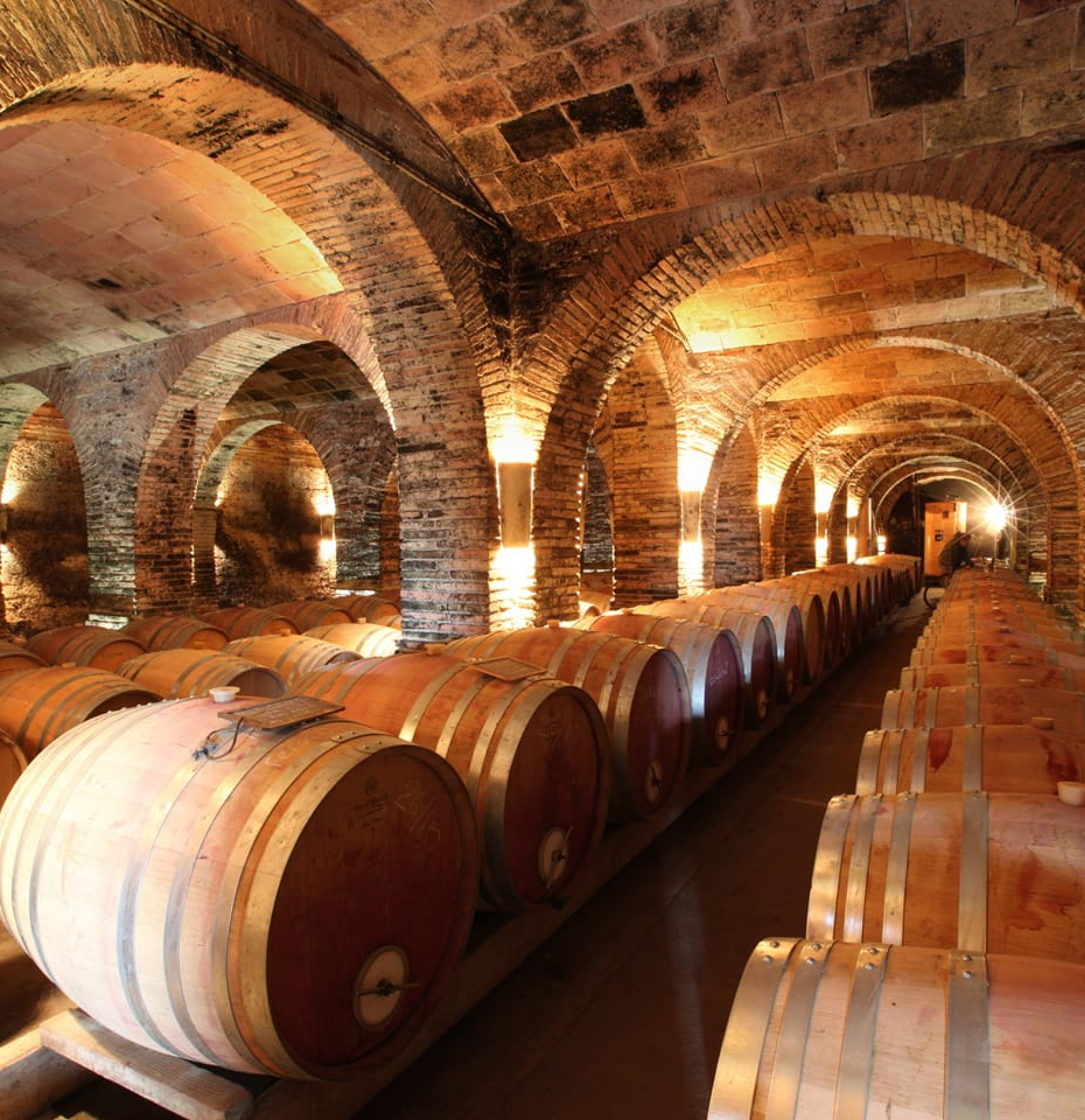 le chais du chateau de saurs