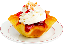 Strawberry Melba Tulip